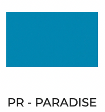 Load image into Gallery viewer, Pinched Front Royal Academy Of Dance Leotard 3546